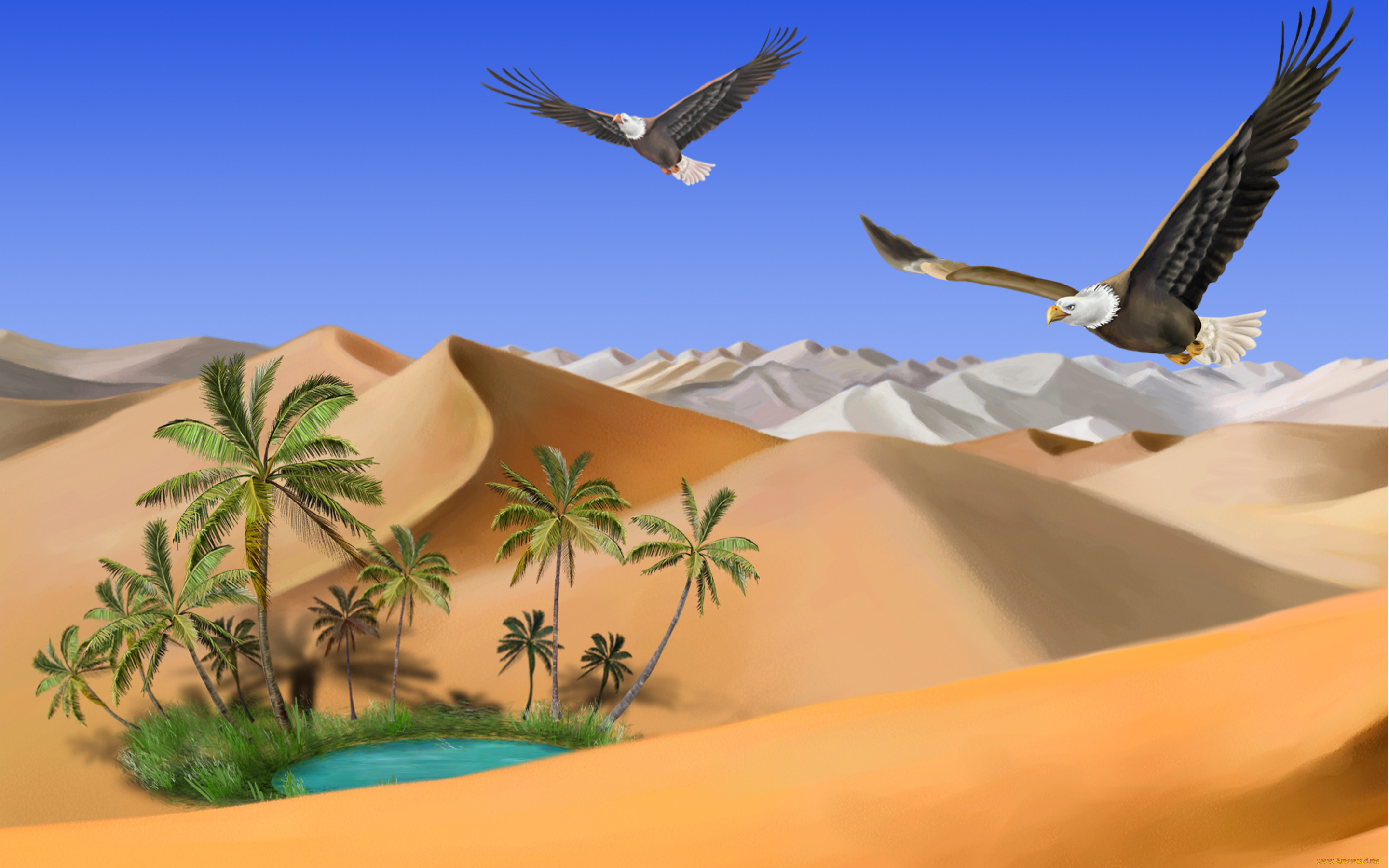 3, , nature, landscape, , , , , 